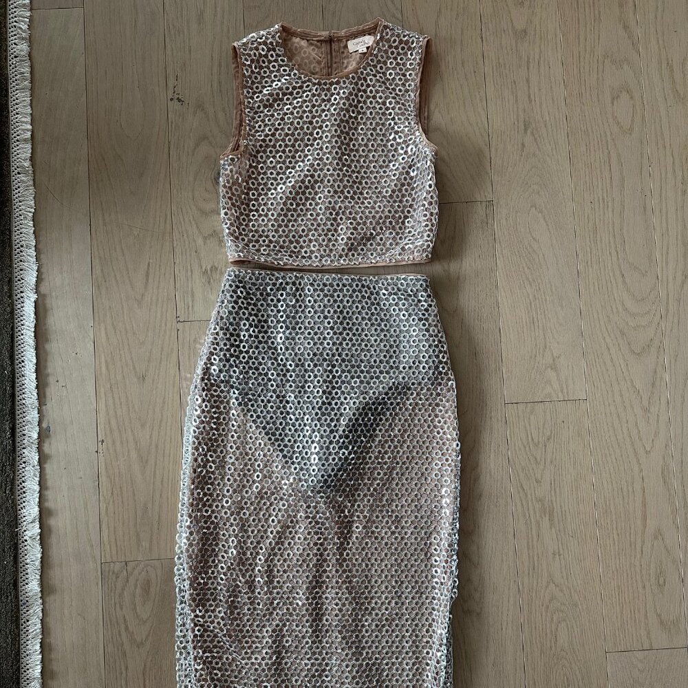 Camila Coelho Sheer Sequin Dress in Silver and Nude